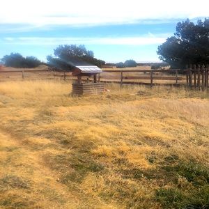 Meet your Posher, Shana Marie